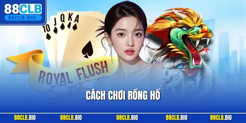 Cách Chơi Rồng Hổ Online | Bí Quyết Chuẩn Tân Thủ Nên Biết